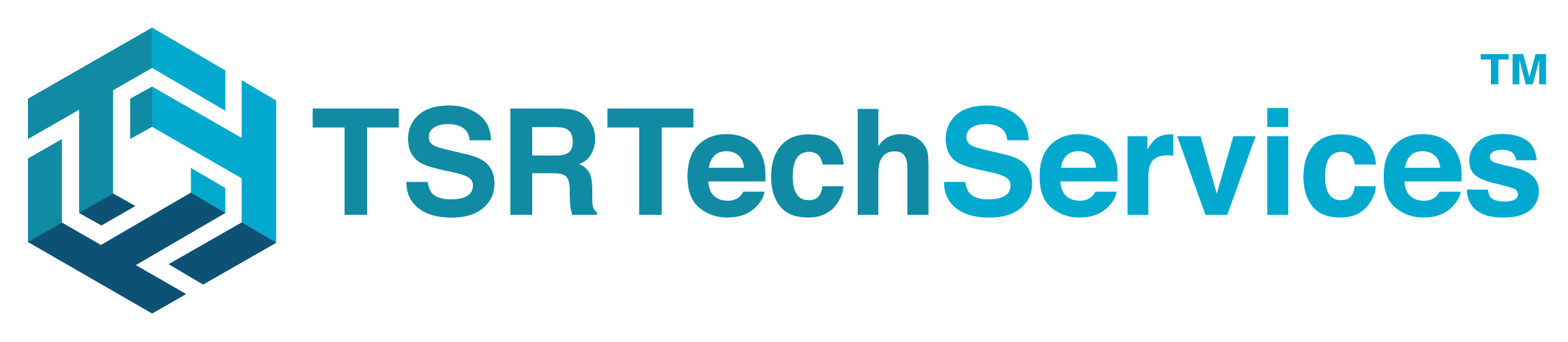 ERP, AI, and Custom Software Solutions - TSR Tech Services (TSR)