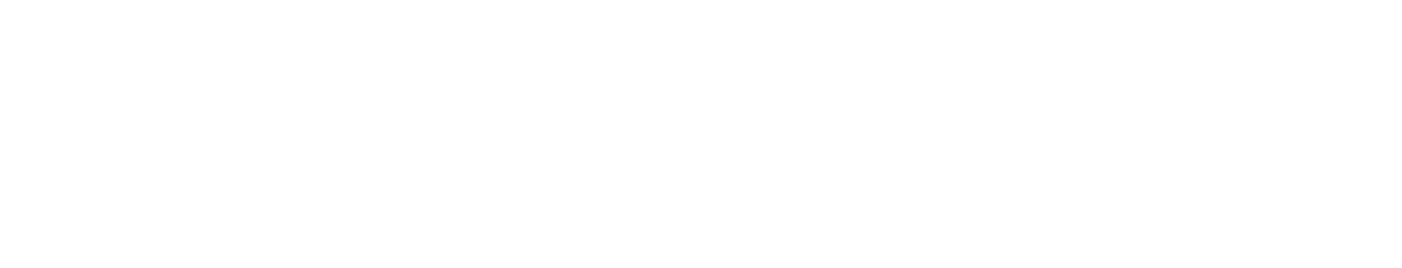 ERP, AI, and Custom Software Solutions - TSR Tech Services (TSR)